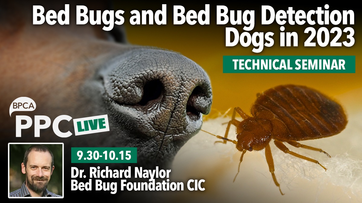 bedbug hero bedbug hero
